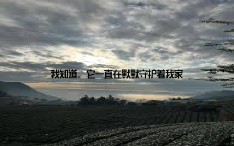 我知道, 它一直在默默守护着我家