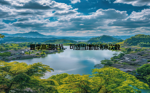 夏季高温时节, 可适当增加浇水次数