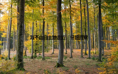 我不由自主地走近, 仔细观察