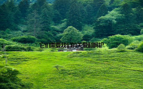 它们需要我们的关爱和呵护