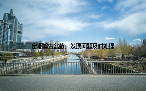 定期检查盆栽, 发现问题及时处理