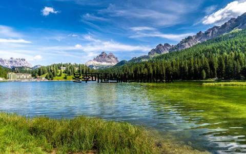 冬季可适当减少浇水次数