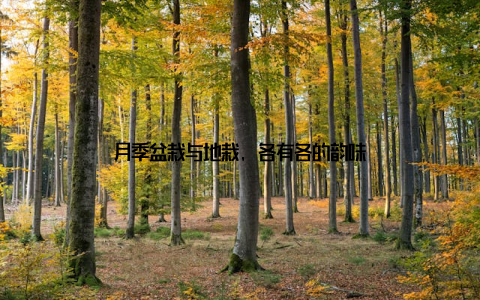 月季盆栽与地栽, 各有各的韵味