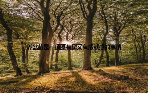 养盆栽是一项既有趣又有成就感的事情