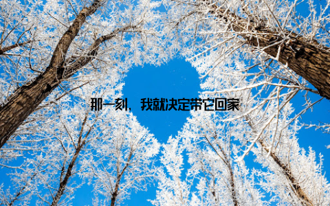 那一刻, 我就决定带它回家