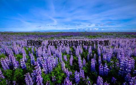 回到家, 我迫不及待地开始动手布置