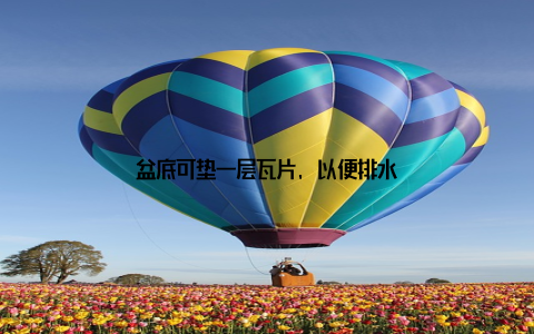 盆底可垫一层瓦片, 以便排水