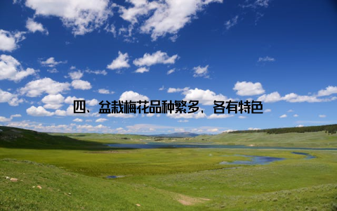 四、盆栽梅花品种繁多, 各有特色