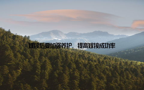 嫁接后要加强养护, 提高嫁接成功率