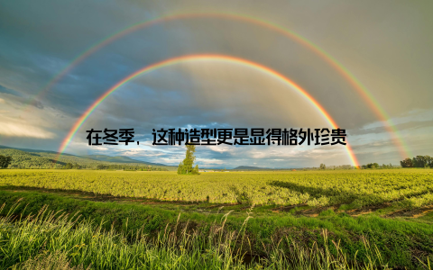 在冬季, 这种造型更是显得格外珍贵