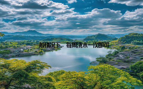 一般情况下, 每周浇水一次即可