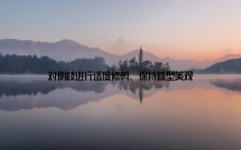 对侧枝进行适度修剪, 保持株型美观