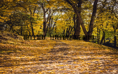 碱性土盆栽, 让我们的生活充满绿意