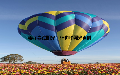 姜花喜欢阳光, 但也怕强光直射