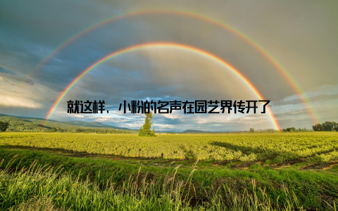 就这样, 小粉的名声在园艺界传开了