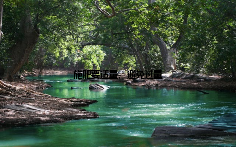 施肥要适量, 避免过量