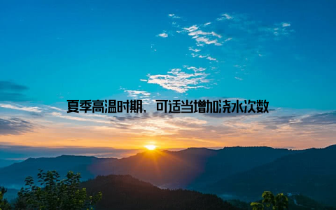 夏季高温时期, 可适当增加浇水次数