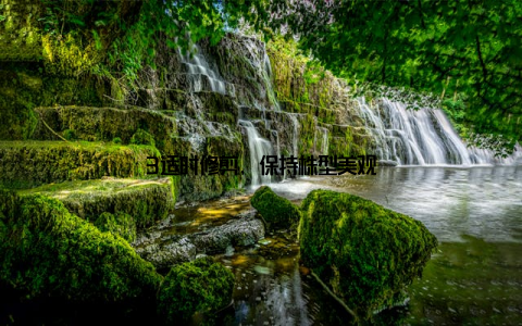 3适时修剪, 保持株型美观