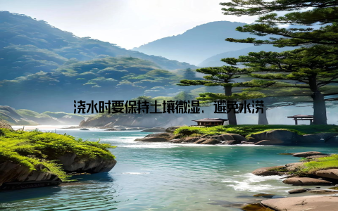 浇水时要保持土壤微湿, 避免水涝