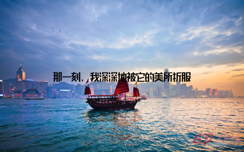 那一刻, 我深深地被它的美所折服