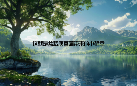 这就是盆栽唐菖蒲带来的小确幸