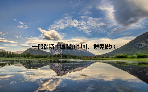 一般保持土壤湿润即可, 避免积水