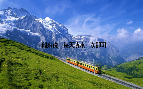 一般来说, 每天浇水一次即可