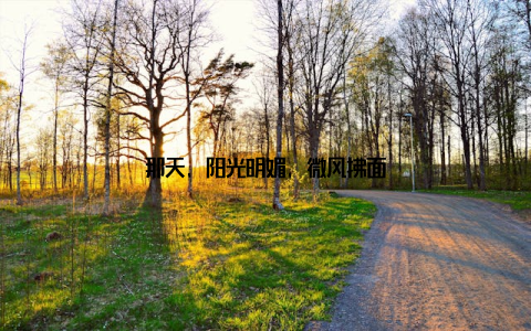 那天, 阳光明媚, 微风拂面