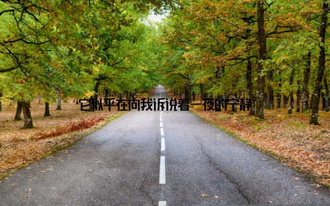 它似乎在向我诉说着一夜的宁静