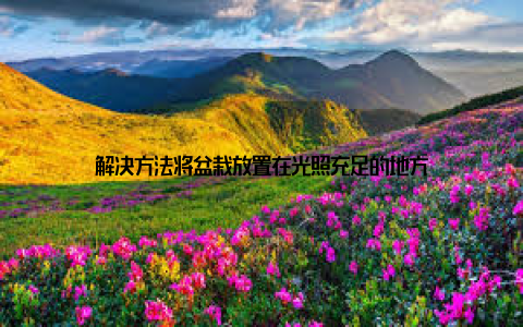 解决方法将盆栽放置在光照充足的地方