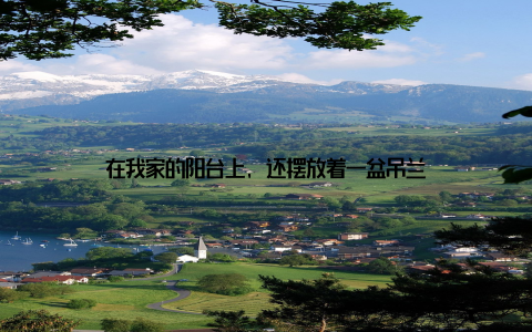 在我家的阳台上, 还摆放着一盆吊兰