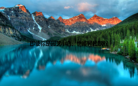 即使你是园艺小白, 也能轻松驾驭