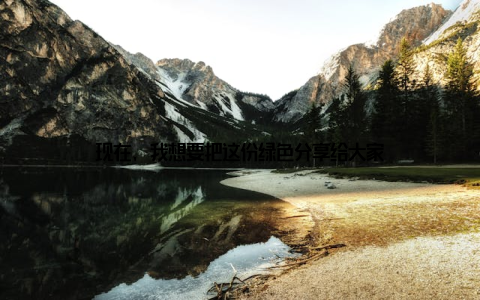 现在, 我想要把这份绿色分享给大家