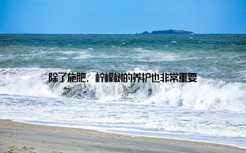 除了施肥, 柠檬树的养护也非常重要