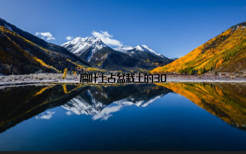 腐叶土占盆栽土的30