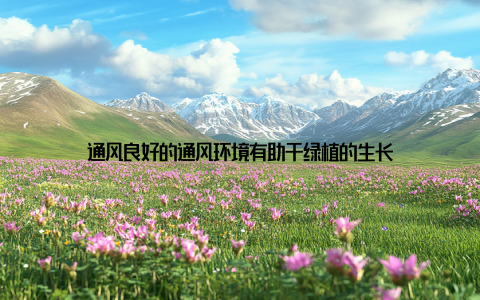 通风良好的通风环境有助于绿植的生长