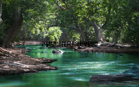 2鹤望兰花朵形状像鹤望