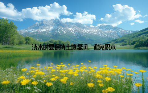 浇水时要保持土壤湿润, 避免积水