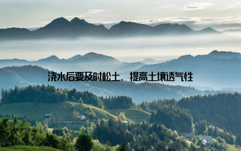 浇水后要及时松土, 提高土壤透气性