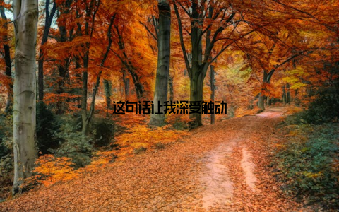 这句话让我深受触动