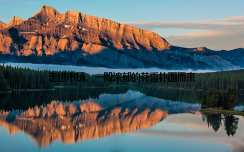 走进市场, 一股浓郁的花香扑面而来