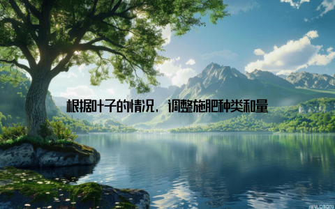 根据叶子的情况, 调整施肥种类和量