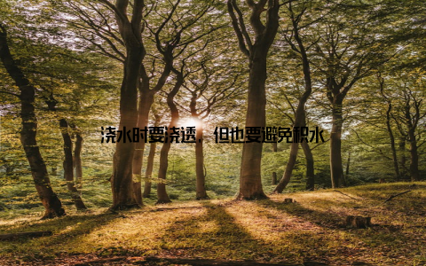 浇水时要浇透, 但也要避免积水