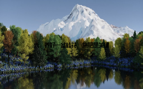 六、养好一盆桂花, 施肥是关键