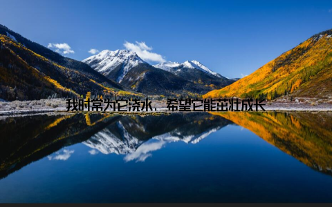 我时常为它浇水, 希望它能茁壮成长