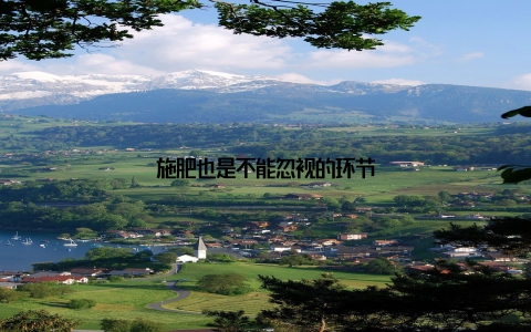 施肥也是不能忽视的环节