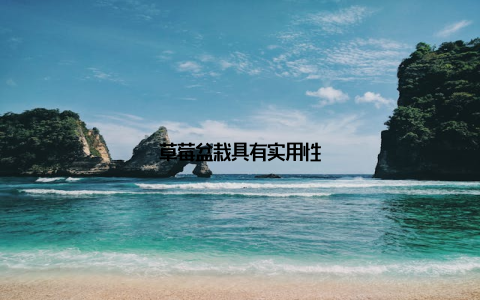 草莓盆栽具有实用性