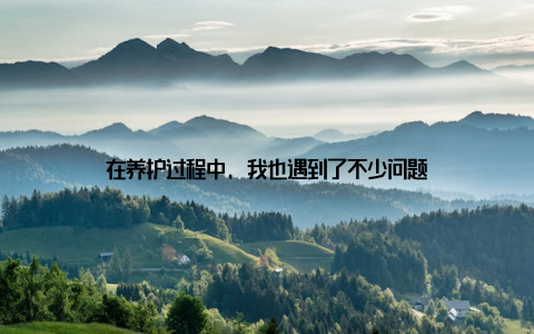 在养护过程中, 我也遇到了不少问题