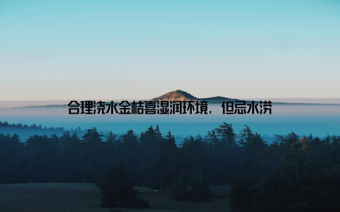 合理浇水金桔喜湿润环境, 但忌水涝