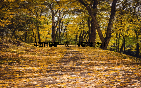 4每月施肥一次, 以复合肥为主